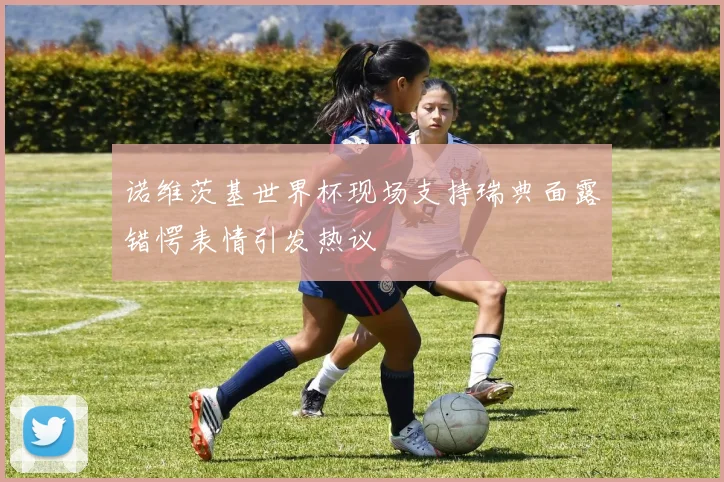 诺维茨基世界杯现场支持瑞典面露错愕表情引发热议