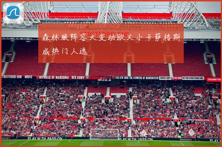 森林狼阵容大变动欧文小卡萨格斯成热门人选